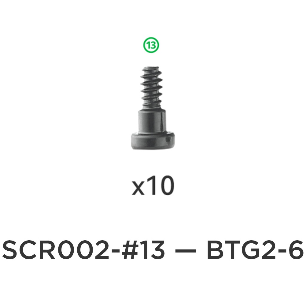 Набір гвинтів Bambu Lab X1/ P1 та AMS №13 BTG2-6, (оригінал, SCR002-13)