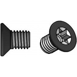 Гвинт кріплення пазової фрези Torx M 5 x 8mm BT50080
