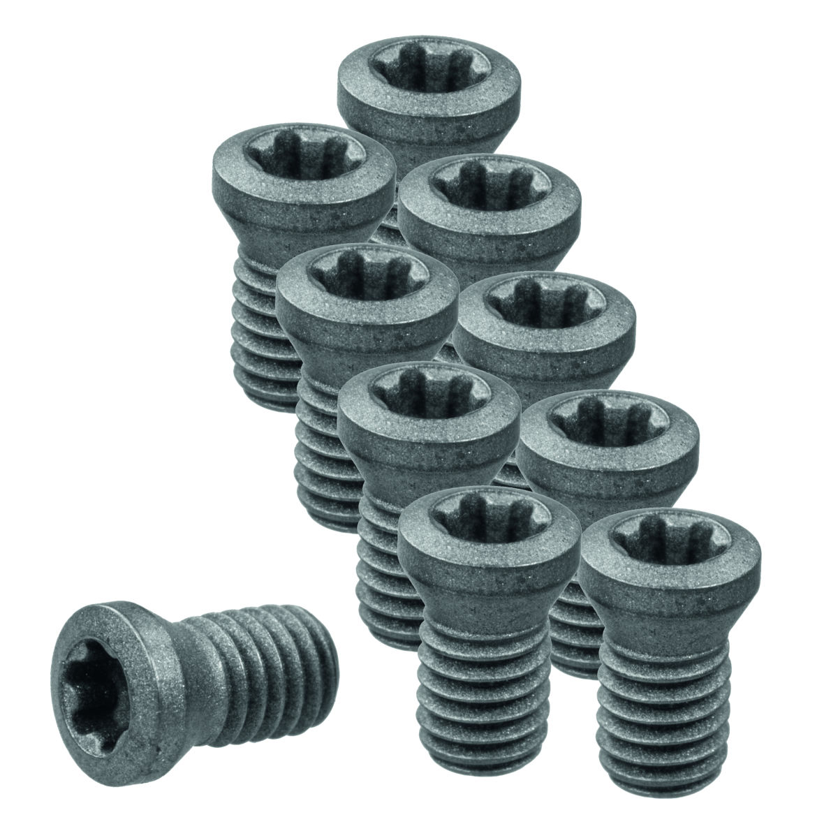 Wendeplattenschrauben-Set 10-teilig