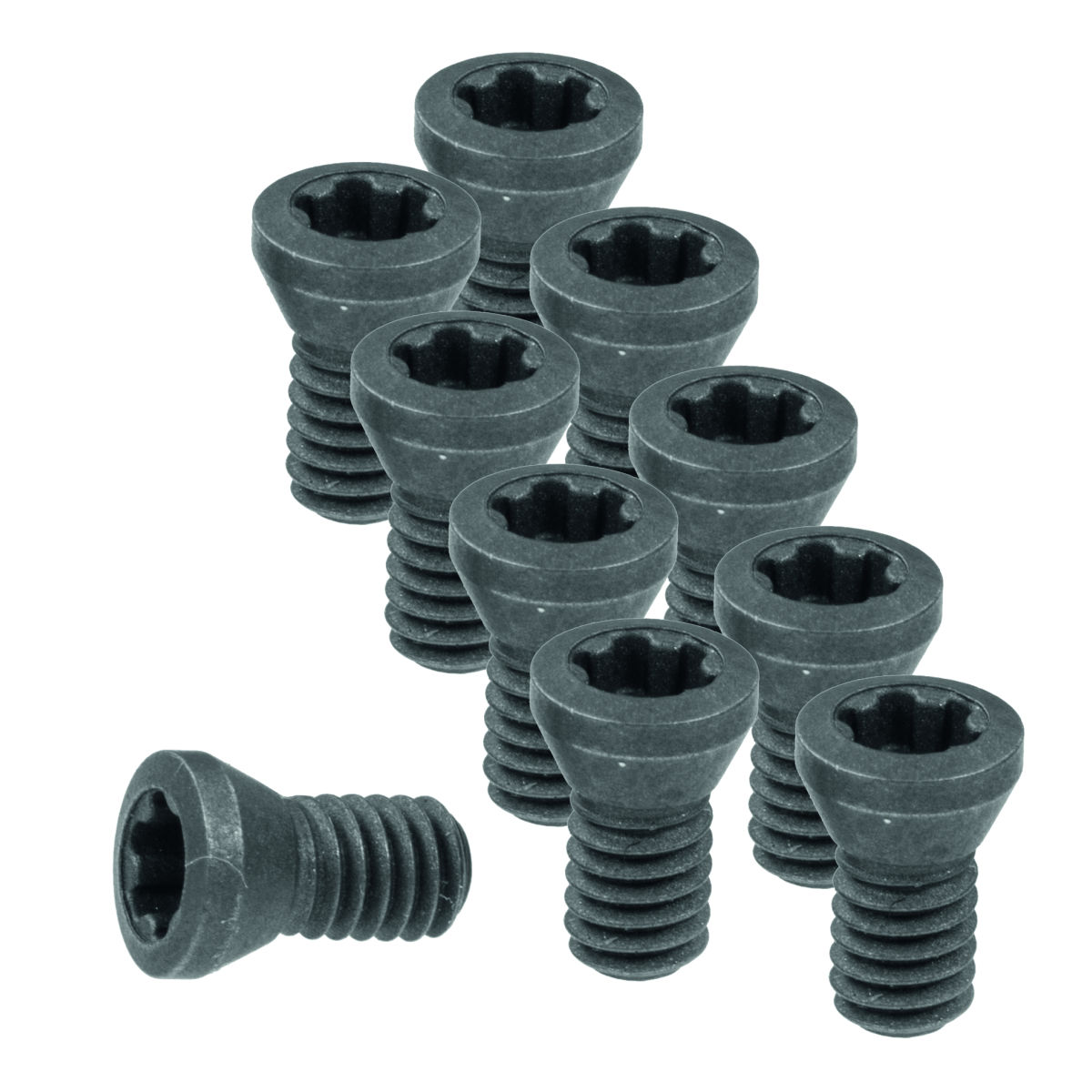 Wendeplattenschrauben-Set 10-teilig