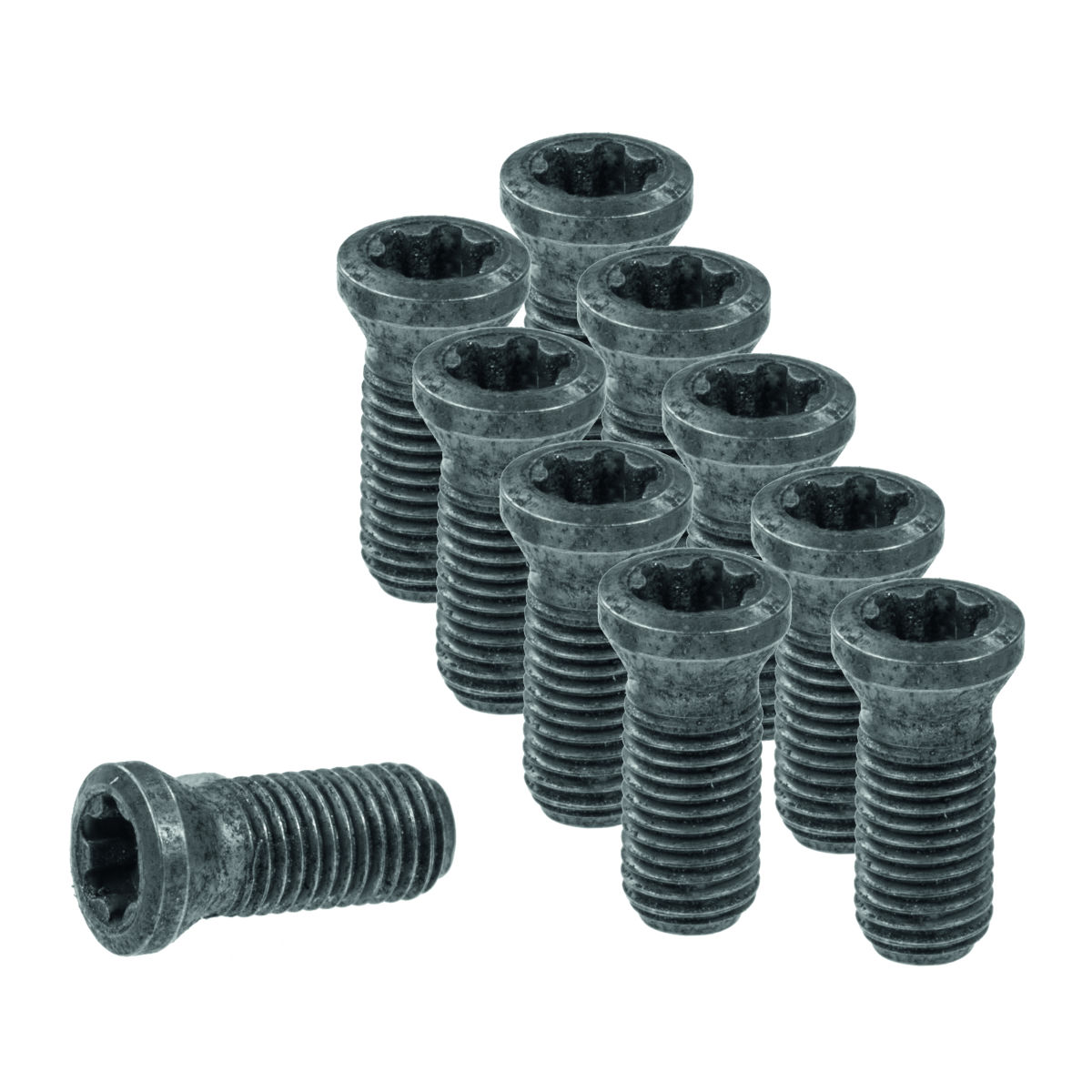 Wendeplattenschrauben-Set 10-teilig