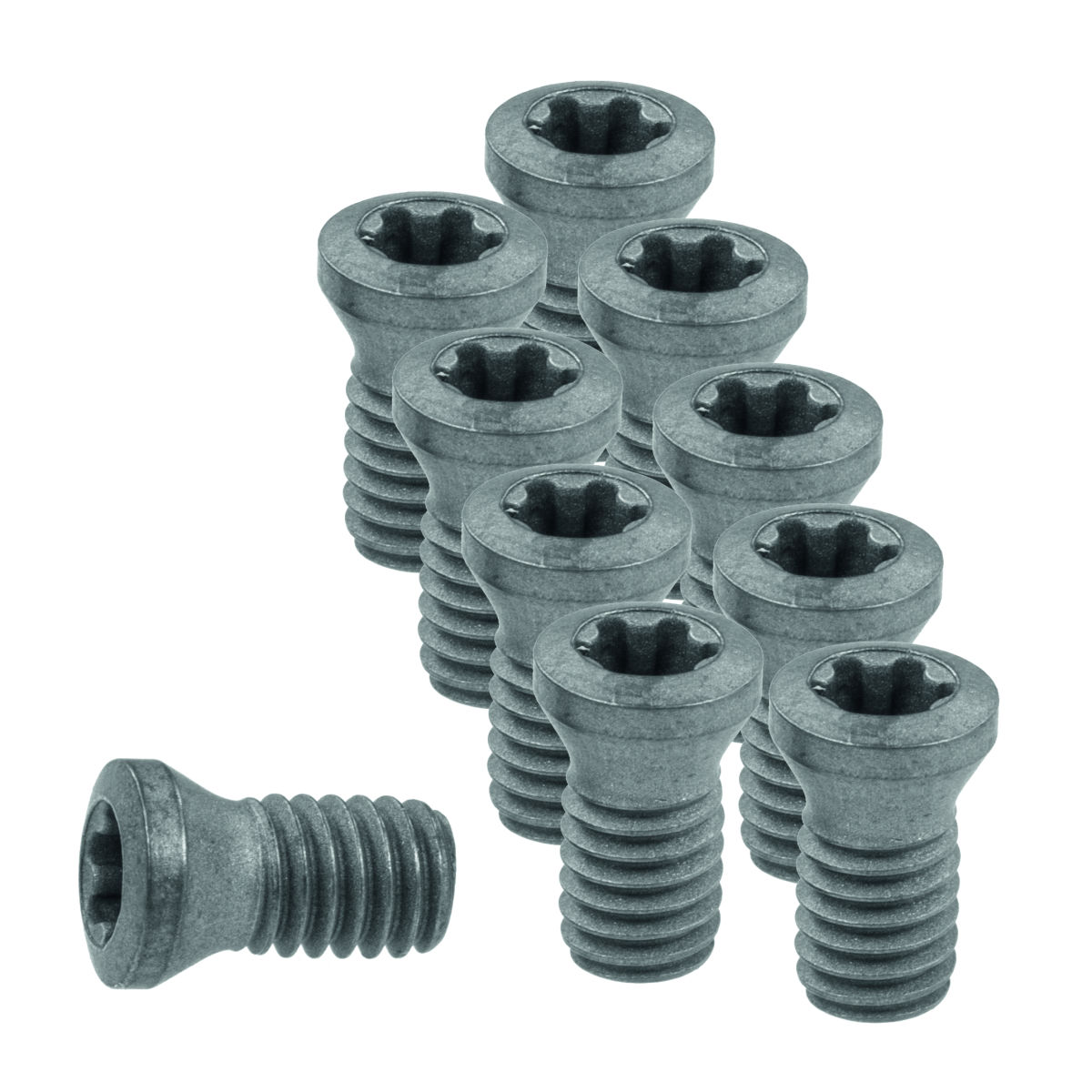 Wendeplattenschrauben-Set 10-teilig