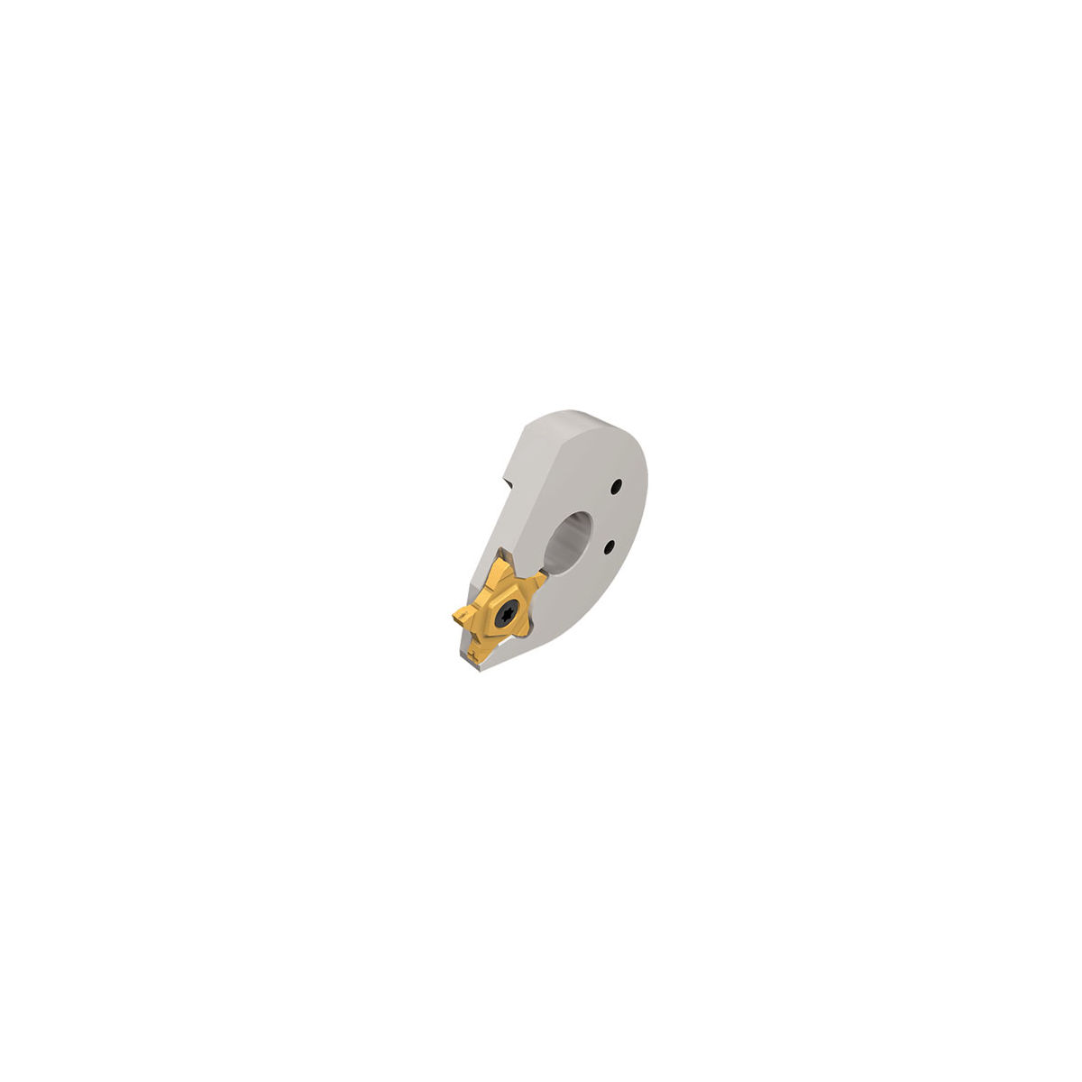 HMSDV PEN 24-50L Adapter-Halter für DAVENPORT-Maschinen. Für PENTA 24 -Schneideinsätze.
