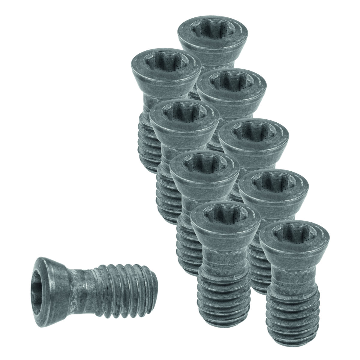 Wendeplattenschrauben-Set 10-teilig