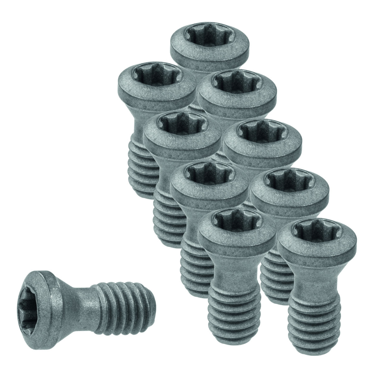 Wendeplattenschrauben-Set 10-teilig