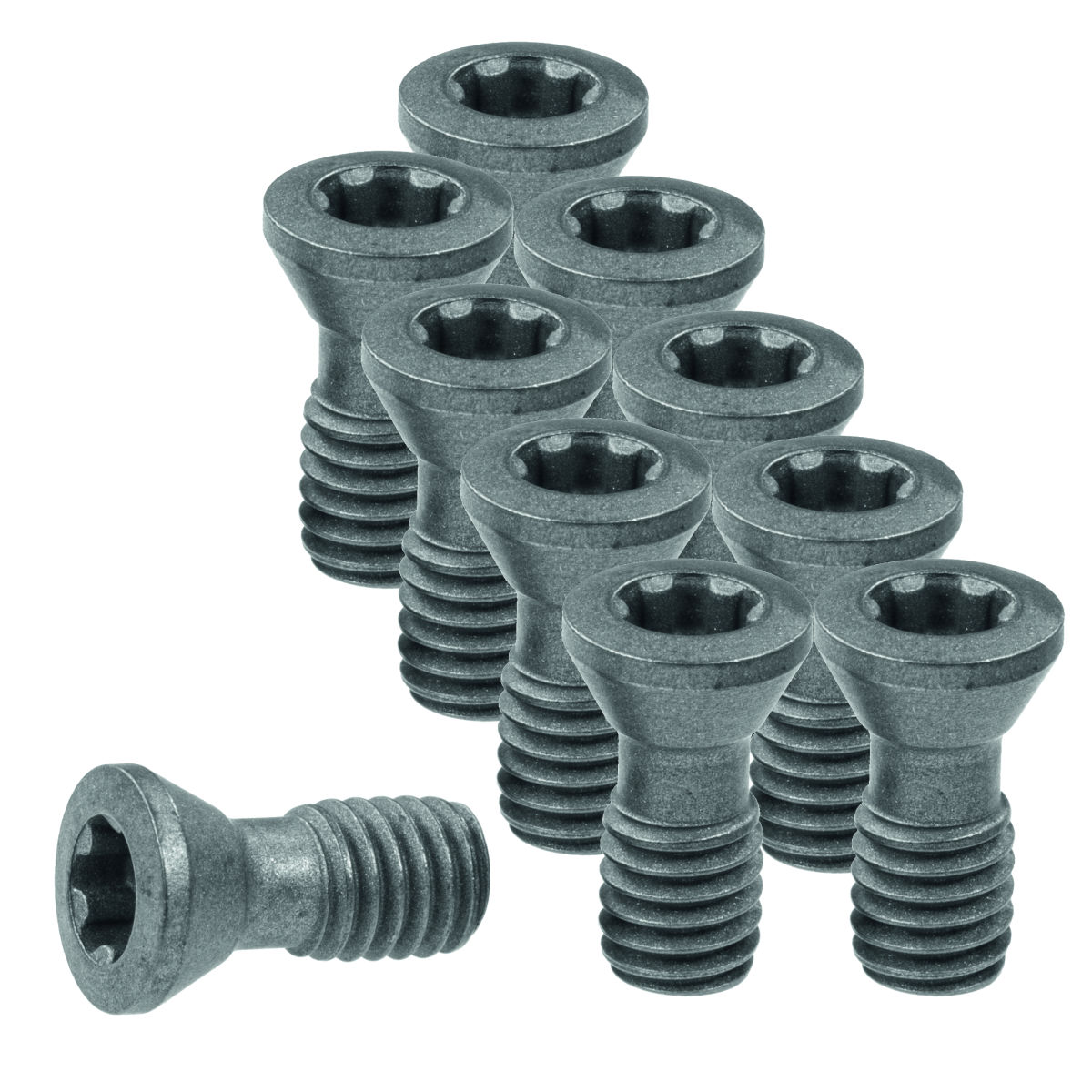Wendeplattenschrauben-Set 10-teilig