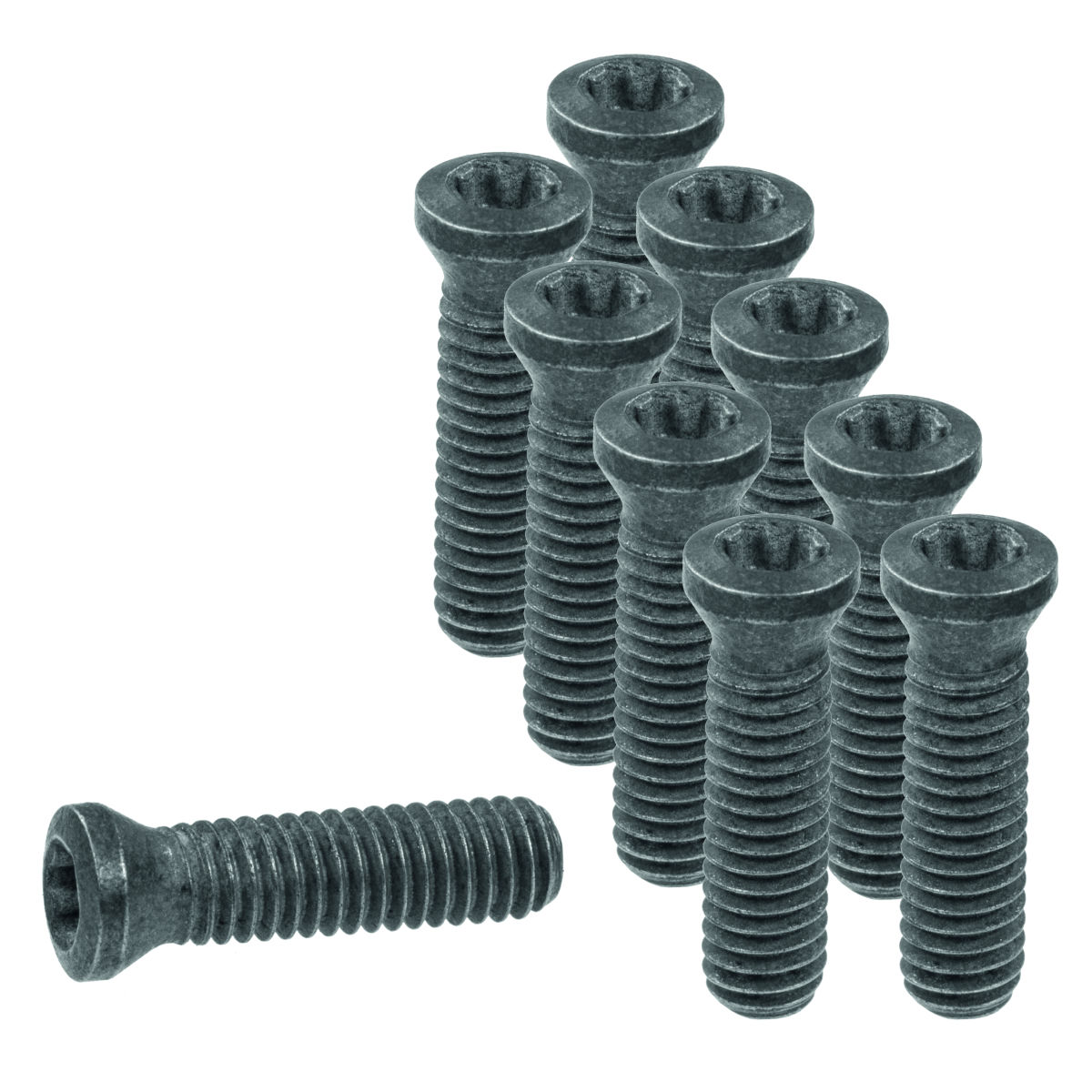 Wendeplattenschrauben-Set 10-teilig