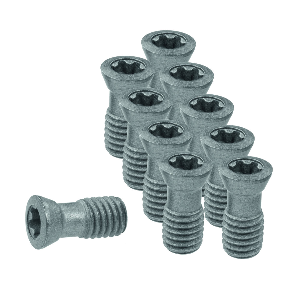 Wendeplattenschrauben-Set 10-teilig