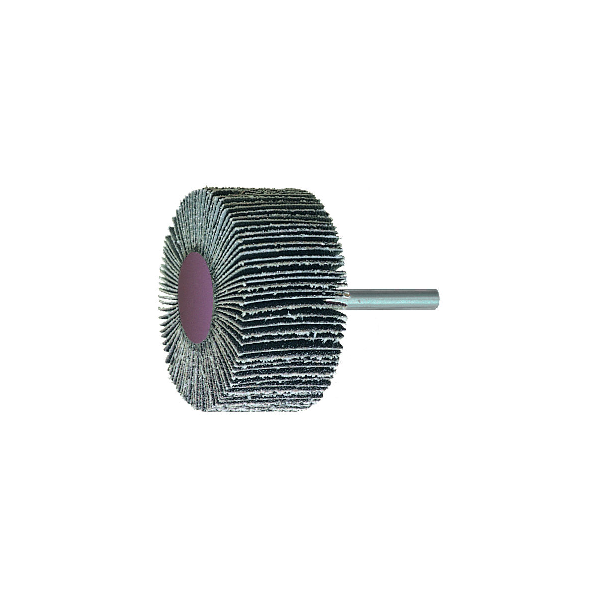 Fächerschleifer (SiC), Korn 80, Kopf-⌀×Kopfbreite: 30X10mm