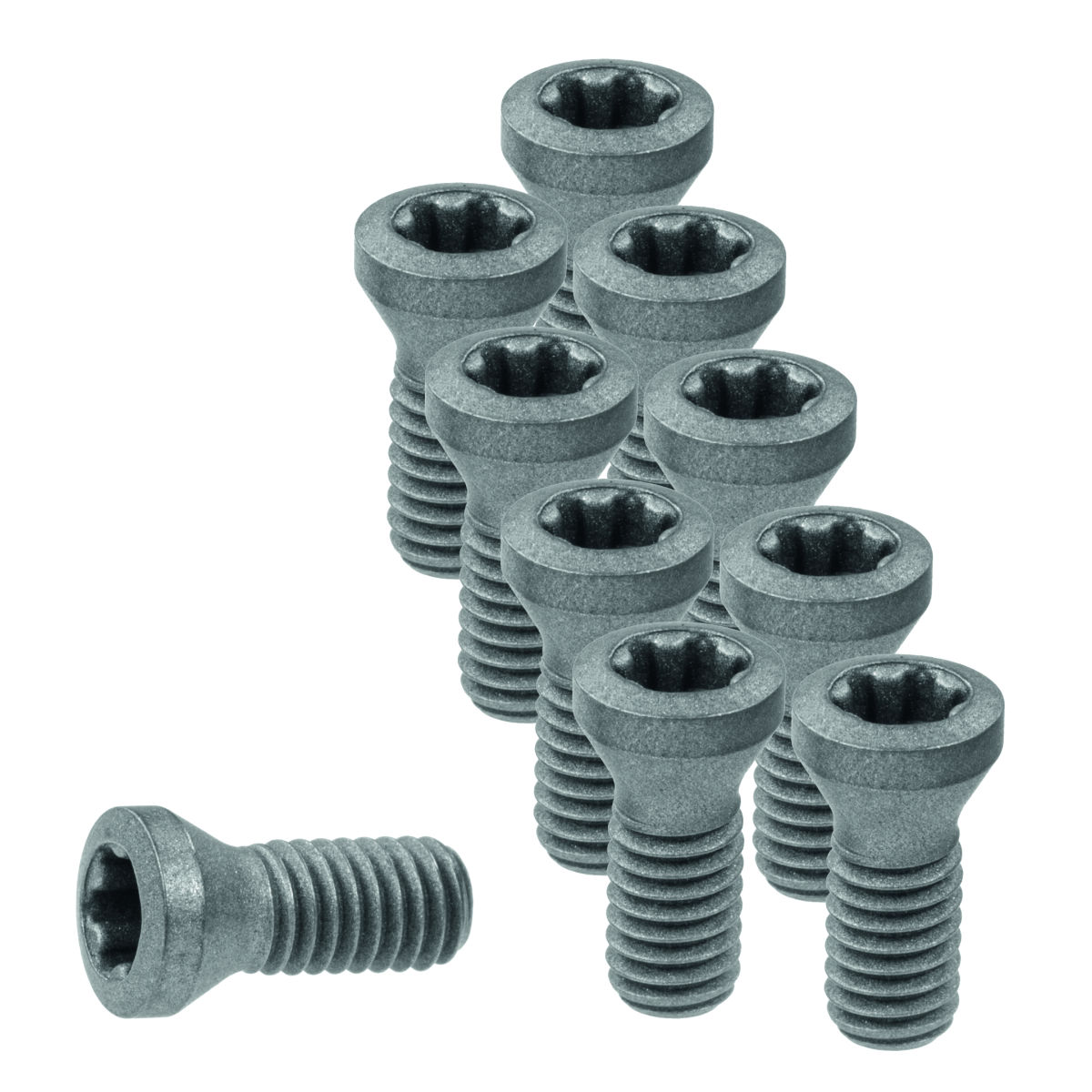 Wendeplattenschrauben-Set 10-teilig