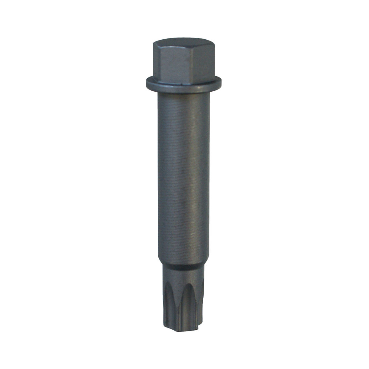 Schraubendrehereinsatz T50