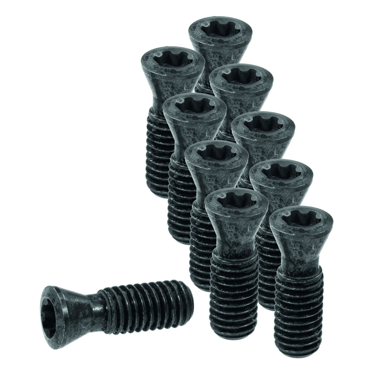 Wendeplattenschrauben-Set 10-teilig