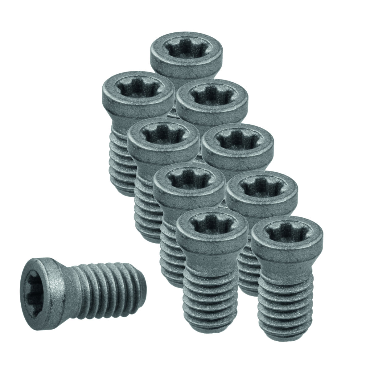Wendeplattenschrauben-Set 10-teilig