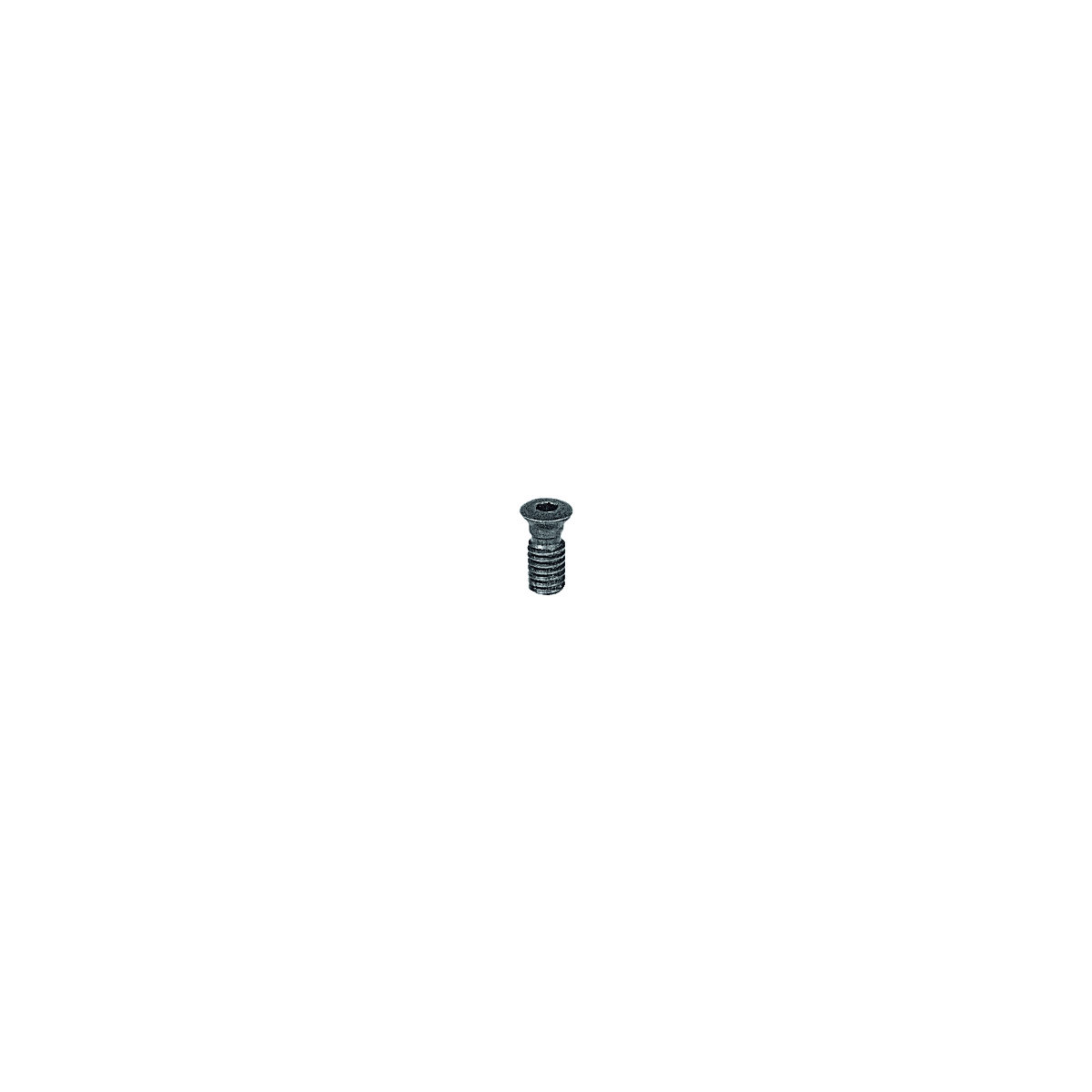 Torx® Klemmschraube, Antrieb: TX8