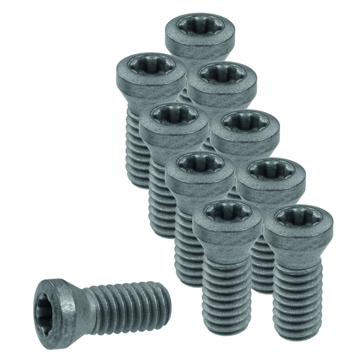 Wendeplattenschrauben-Set 10-teilig