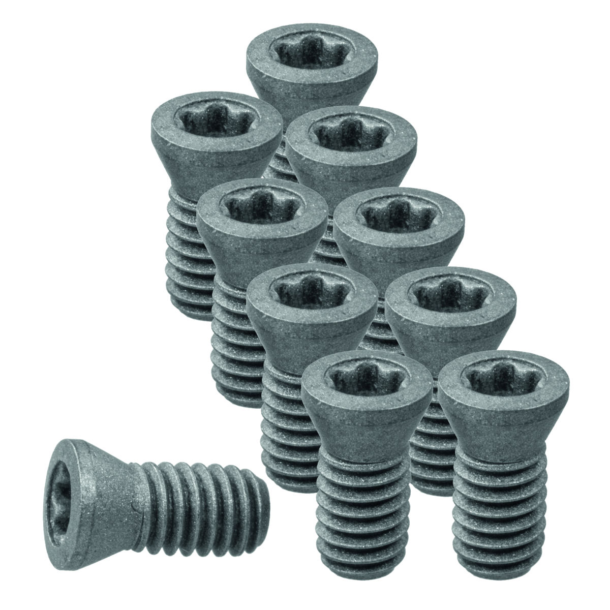 Wendeplattenschrauben-Set 10-teilig