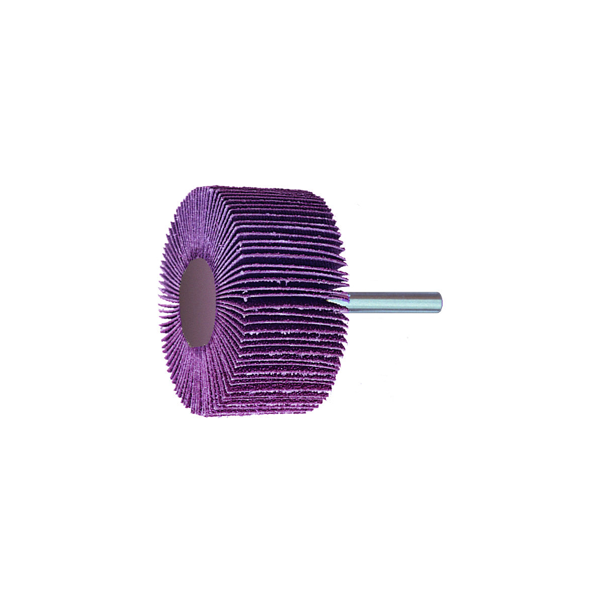 Fächerschleifer für INOX, Korn 120, Kopf-⌀×Kopfbreite: 30X10mm