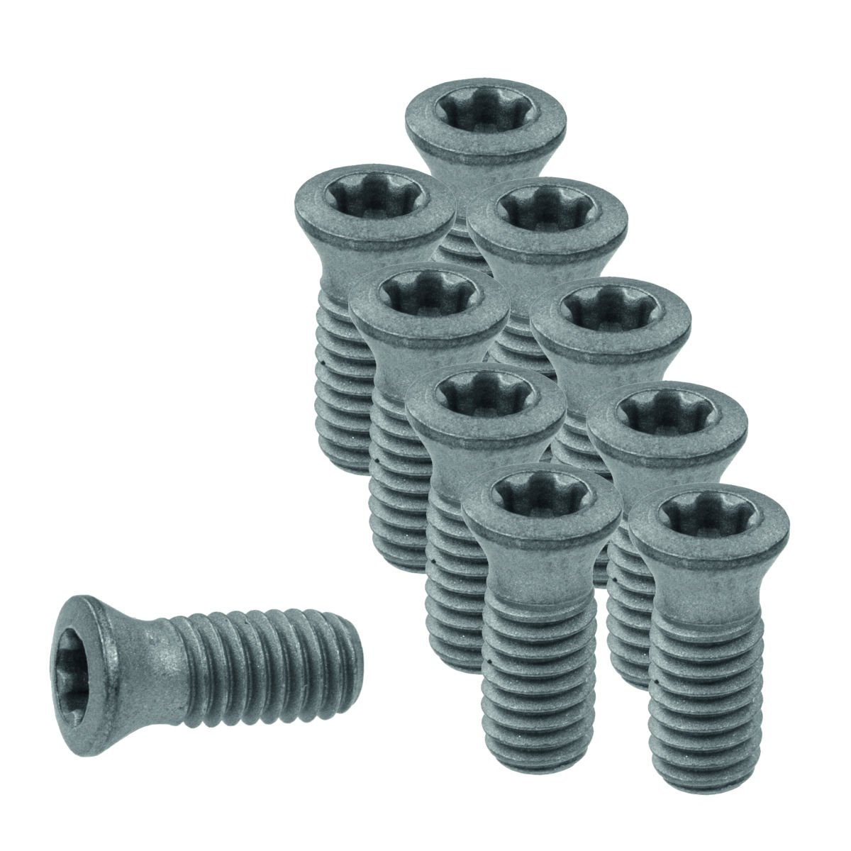 Wendeplattenschrauben-Set 10-teilig